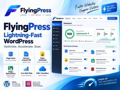 FlyingPress Wordress Plugin (Lightning-Fast WordPress )