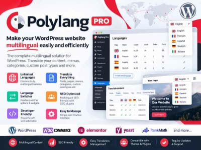 Polylang Pro - multilingual plugin