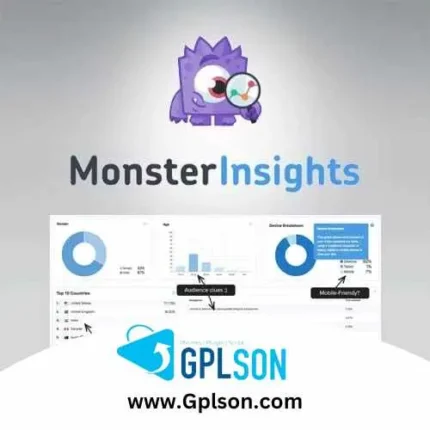 MonsterInsights Plus
