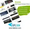 Avas WordPress Theme