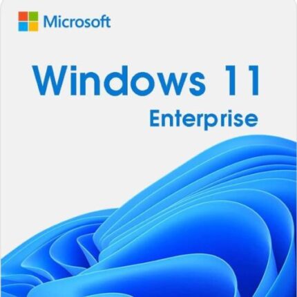 Windows 11 Enterprise license Key