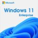Windows 11 Enterprise license Key