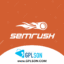 Semrush Premium 1 Year
