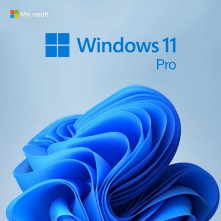 Windows 11 Pro license Key