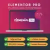 Elementor Pro For Lifetime