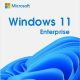 Windows 11 Enterprise license Key