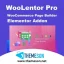 WooLentor Pro addons